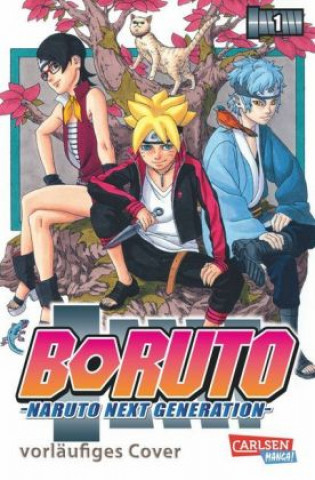 Kniha Boruto - Naruto the next Generation. Bd.1 Masashi Kishimoto