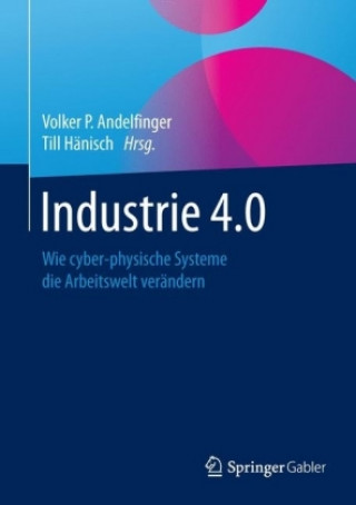 Könyv Industrie 4.0 Volker P. Andelfinger