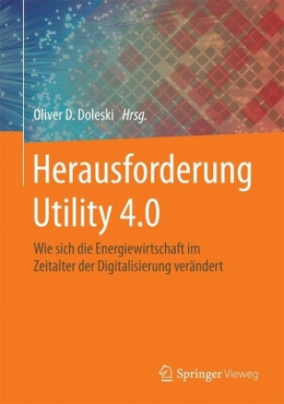 Kniha Herausforderung Utility 4.0 Oliver D. Doleski