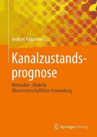 Kniha Nutzen statistisch-stochastischer Modelle in der Kanalzustandsprognose Andrzej Raganowicz