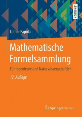 Kniha Mathematische Formelsammlung Lothar Papula