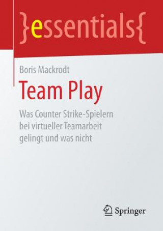 Kniha Team Play Boris Mackrodt