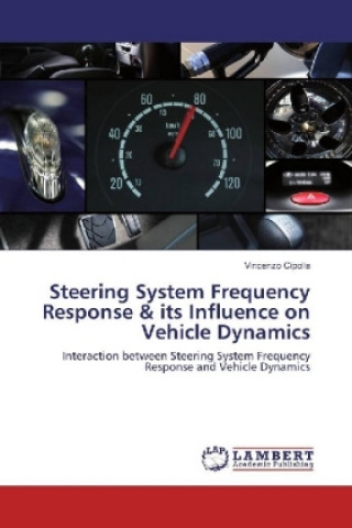 Kniha Steering System Frequency Response & its Influence on Vehicle Dynamics Vincenzo Cipolla