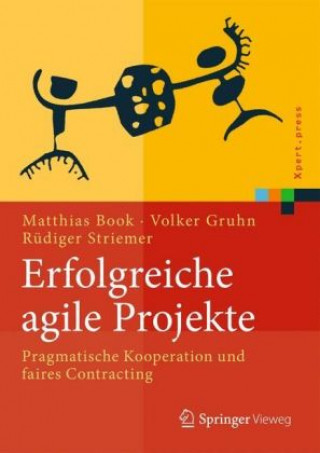 Kniha Erfolgreiche agile Projekte Matthias Book