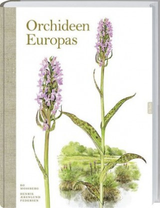 Könyv Wunderschöne Orchideen Europas Bo Mossberg