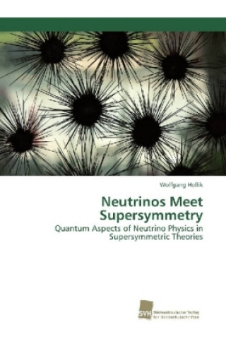 Książka Neutrinos Meet Supersymmetry Wolfgang Hollik