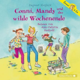 Audio Conni & Co 13: Conni, Mandy und das wilde Wochenende Dagmar Hoßfeld