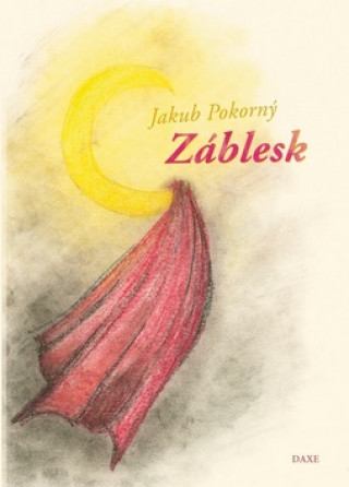 Könyv Záblesk Jakub Pokorný