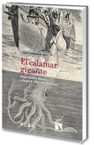 Kniha El calamar gigante Ángel F. González González