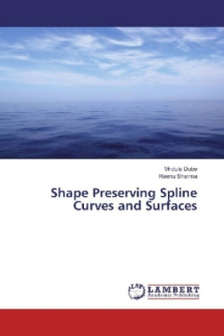 Kniha Shape Preserving Spline Curves and Surfaces Mridula Dube