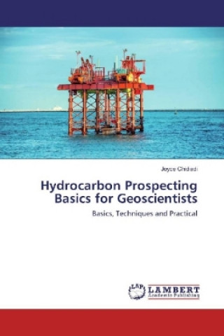 Kniha Hydrocarbon Prospecting Basics for Geoscientists Joyce Chidiadi