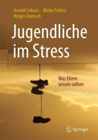 Kniha Jugendliche im Stress Arnold Lohaus