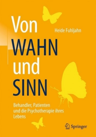 Kniha Von WAHN und SINN - Behandler, Patienten und die Psychotherapie ihres Lebens Heide Fuhljahn