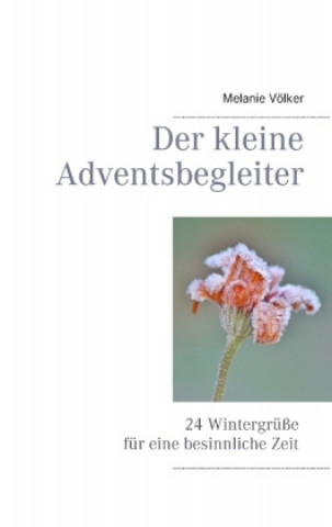 Книга Der kleine Adventsbegleiter Melanie Völker
