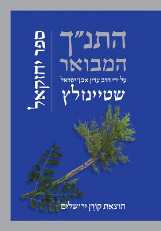 Kniha HATANAKH HAMEVOAR W/COMMENTARY Adin Steinsaltz