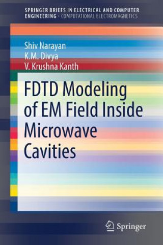 Knjiga FDTD Modeling of EM Field inside Microwave Cavities Shiv Narayan