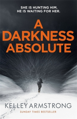 Kniha Darkness Absolute Kelley Armstrong