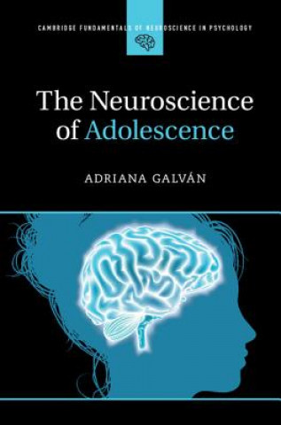 Buch Neuroscience of Adolescence Adriana Galvan