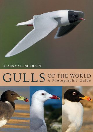 Kniha Gulls of the World Klaus Malling Olsen