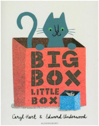 Книга Big Box Little Box Caryl Hart