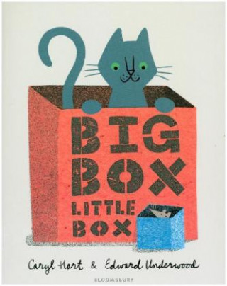 Livre Big Box Little Box Caryl Hart