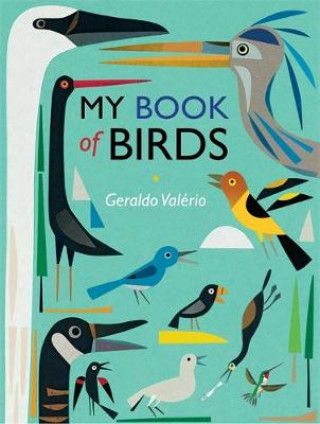 Kniha My Book of Birds Geraldo Valerio