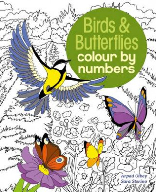 Książka Birds & Butterflies Colour by Numbers Sara Storino