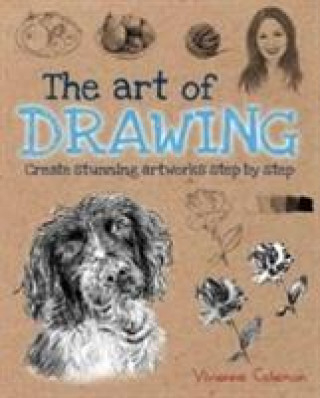 Könyv Art of Drawing Vivienne Coleman