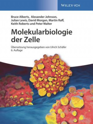 Kniha Molekularbiologie der Zelle 6e Bruce Alberts