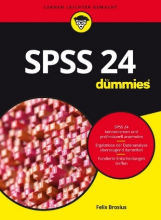 Kniha SPSS 24 fur Dummies Felix Brosius