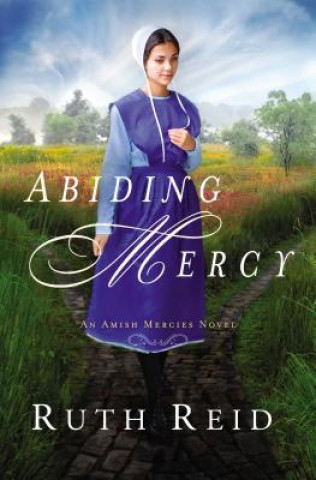 Kniha Abiding Mercy Ruth Reid