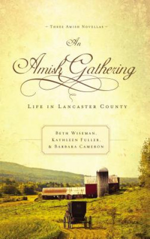 Book Amish Gathering Beth Wiseman