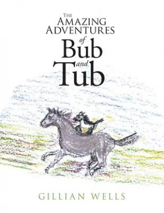 Kniha Amazing Adventures of Bub and Tub Gillian Wells