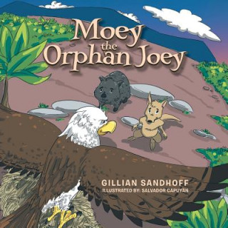 Könyv Moey the Orphan Joey Gillian Sandhoff