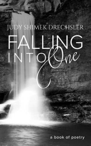 Knjiga Falling Into One Judy Drechsler