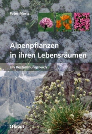 Könyv Alpenpflanzen in ihren Lebensräumen Peter Mertz