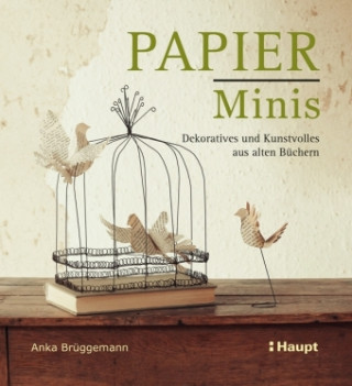 Kniha Papier-Minis Anka Brüggemann