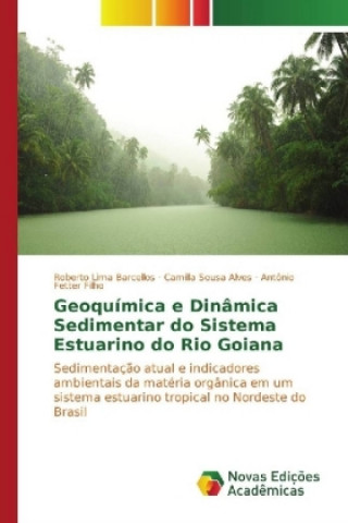 Kniha Geoquímica e Dinâmica Sedimentar do Sistema Estuarino do Rio Goiana Roberto Lima Barcellos