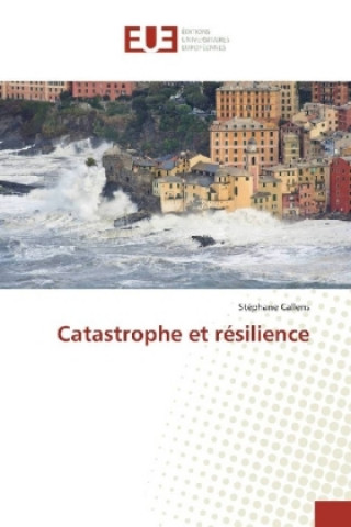 Kniha Catastrophe et résilience Stéphane Callens