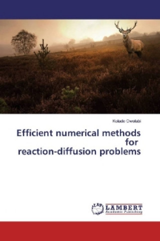 Könyv Efficient numerical methods for reaction-diffusion problems Kolade Owolabi