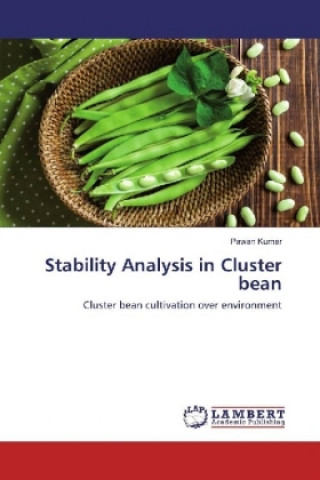 Książka Stability Analysis in Cluster bean Pawan Kumar