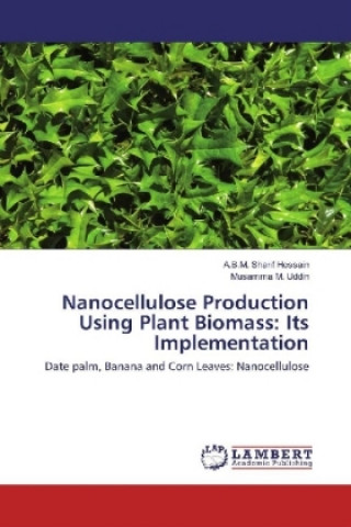 Kniha Nanocellulose Production Using Plant Biomass: Its Implementation A. B. M. Sharif Hossain