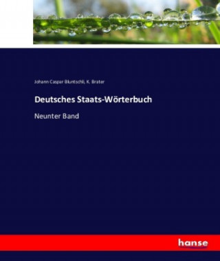 Knjiga Deutsches Staats-Wörterbuch Johann Caspar Bluntschli