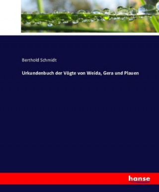 Książka Urkundenbuch der Vögte von Weida, Gera und Plauen Berthold Schmidt