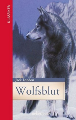 Книга Wolfsblut Jack London