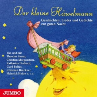 Audio Der kleine Häwelmann Theodor Storm