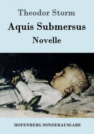 Könyv Aquis Submersus Theodor Storm