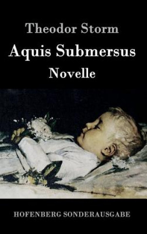 Buch Aquis Submersus Theodor Storm