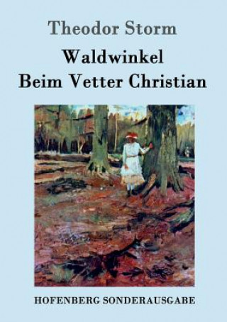 Buch Waldwinkel / Beim Vetter Christian Theodor Storm