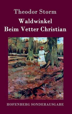 Kniha Waldwinkel / Beim Vetter Christian Theodor Storm